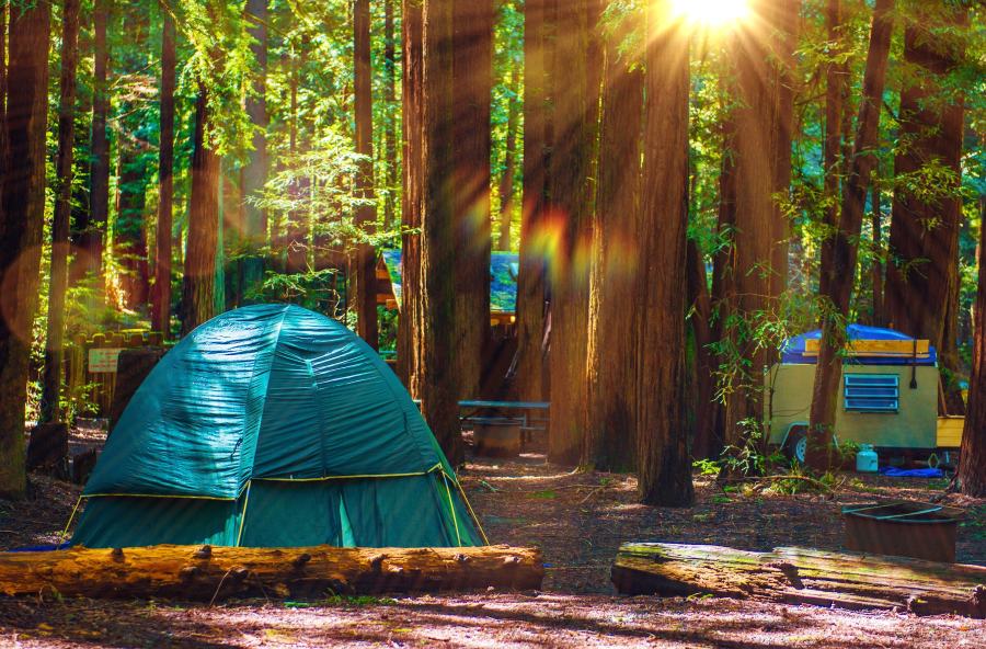 camping sud de la france cote d'azur